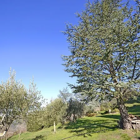Margherita Appartamento